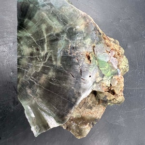 Chromium petrified wood polished