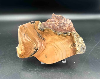 Polished Willow Creek Jasper Specimen