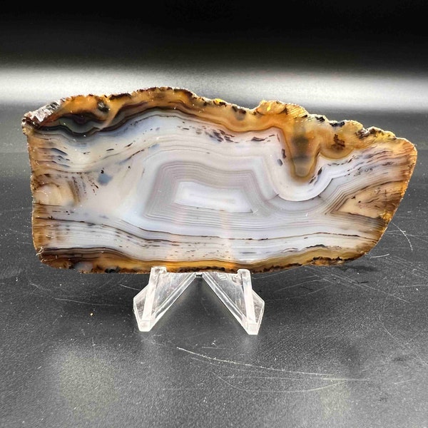 Montana agate slab