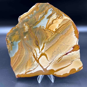Gem Owyhee picture jasper polished
