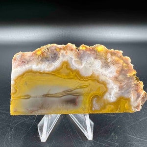 Kentucky Agate slab