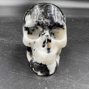 Zebra Stone Skull carving