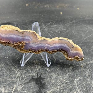 May include: A cross-section of a polished agate stone, showcasing bands of purple, brown, and tan hues. The stone is displayed on a clear plastic stand, revealing its layered geological structure. The agate's natural patterns are highlighted.