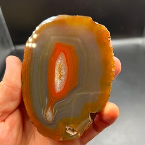 May include: A polished agate slice with a natural, organic shape. The agate features a variety of colors, including orange, brown, gray, and white. The agate has a smooth, polished surface and a natural, rough edge.