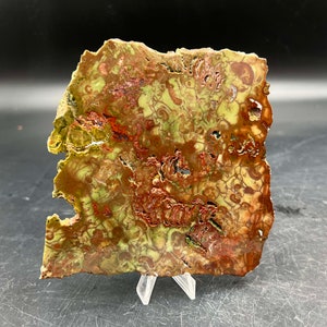 May include: A slab of green and red agate with a swirling, organic pattern. The agate is polished and has a smooth surface.