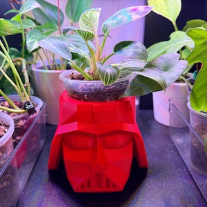 Op de afbeelding: Een felrode, geometrische, low-poly plantenpot in de vorm van een helmhoofd. De pot bevat een kleine doorzichtige plastic container met een Philodendron Birkin plant met bonte groen-witte bladeren, omringd door andere planten in potten.