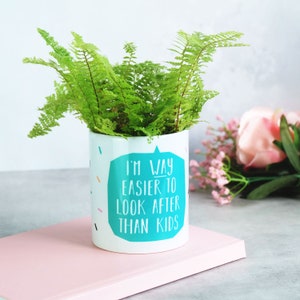 Sono molto più facile da guardare dopo che bambini indoor Plant Pot