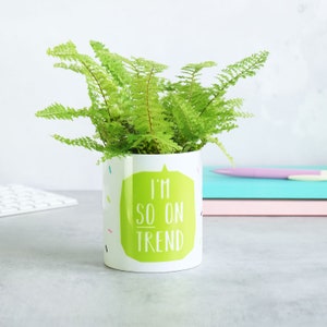 Vaso per piante indoor - Sono così sulla tendenza
