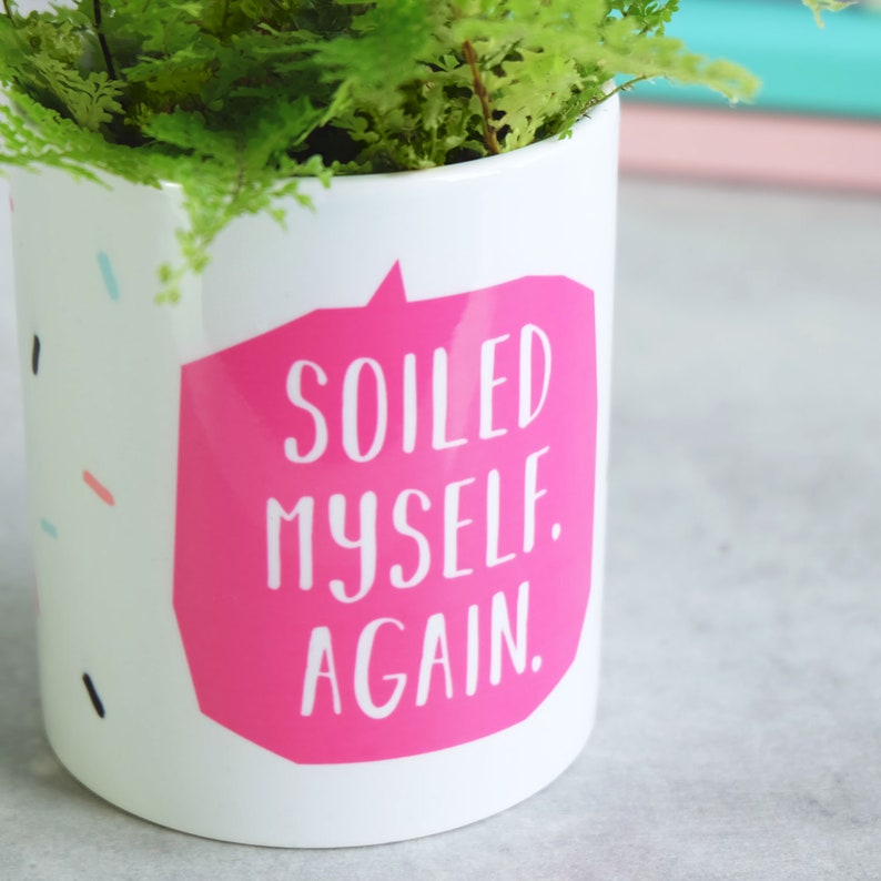 Soiled Myself. Again indoor plant pot image 2