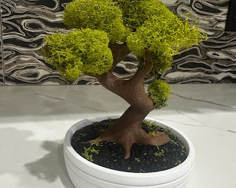 3D Printed Bonsai Tree with Preserved Moss | Modern Zen Desk Decor