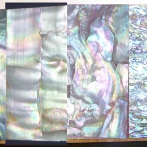 May include: Four iridescent abalone shell tiles with different patterns and colors. The tiles are a light blue, green, and purple color with a pearlescent sheen.