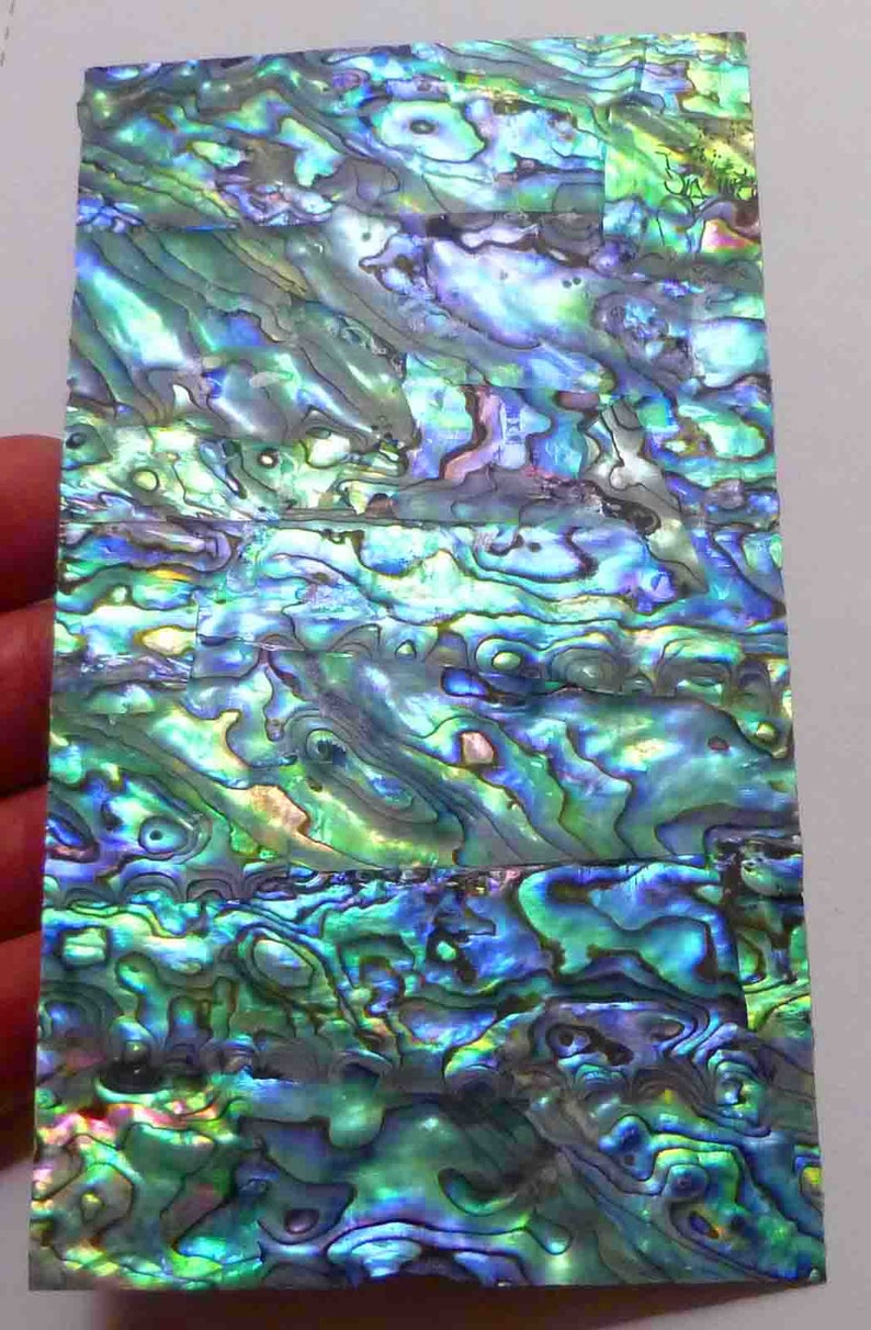 Genuine DARK Paua Abalone Gorgeous INLAY OVERLAY Luthier Scrapbooking ...