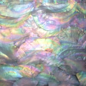 Rainbow Mother of Pearl Shell Veneer Sheet: Luthier Inlay Material