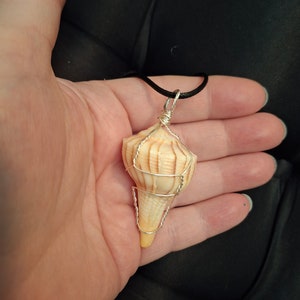 May include: A seashell pendant necklace with a silver wire wrap. The shell is a light brown color with a pointed tip and a textured surface. The necklace has a black cord.