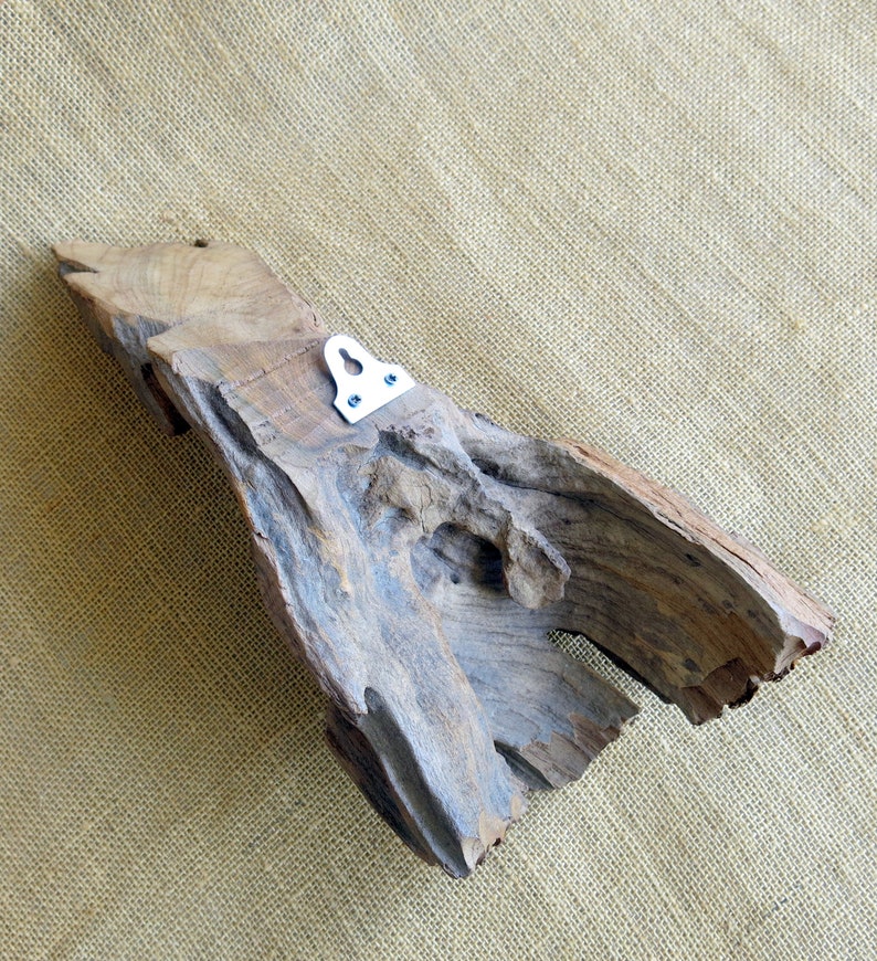 Carved Wood Elephant, Wood Carving, Elephant Carving, Wall Décor, Wall Hanging, Wall Art, Decorative Wall Hanging, Home Décor, Driftwood image 8