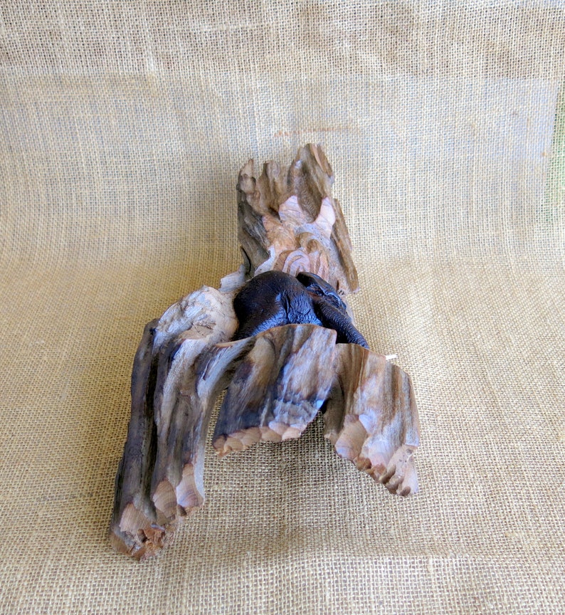 Carved Wood Elephant, Wood Carving, Elephant Carving, Wall Décor, Wall Hanging, Wall Art, Decorative Wall Hanging, Home Décor, Driftwood image 6