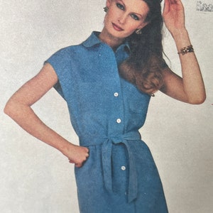 Vintage 1970&#39;s Designer A-Line Suede  Shirtdress or Jumper By Bill Blass---Vogue 2096---Size 10  Bust 32 1/2