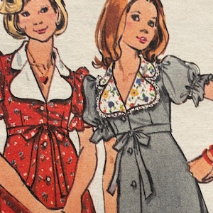 Könnte beinhalten: Illustration von zwei Kleidern. Das Kleid links ist rot mit weißem Kragen und kleinem Blumenmuster. Das Kleid rechts ist grau mit Blumenkragen und Schleife. Beide Kleider haben Knopfverschlüsse und Schleifen an der Taille.