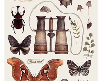 The Naturalist A4 Giclee print - Natural History Print