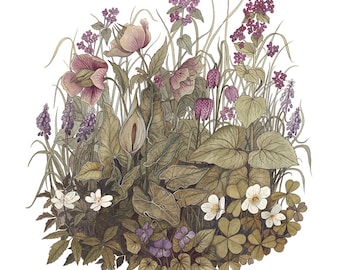 Spring Botanicals A4 Giclee Print