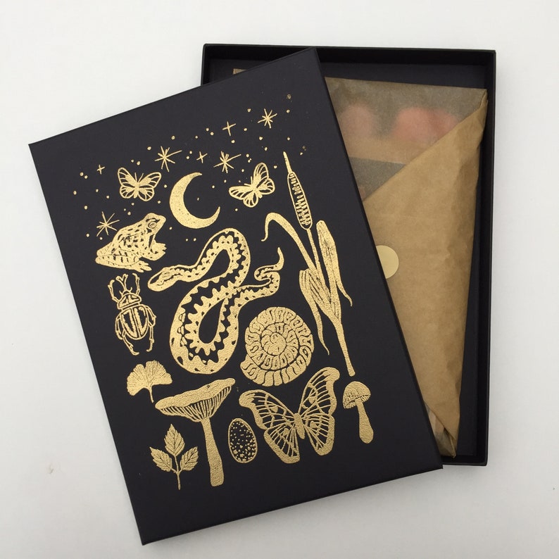 Natural History Stationery Box Notebooks Postcards and Note Etsy