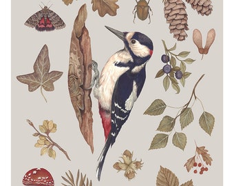 Woodpecker A3 print