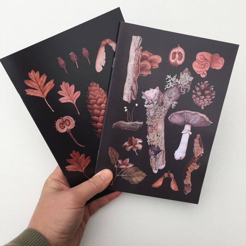 Natural History Stationery Box Notebooks Postcards and Note Etsy