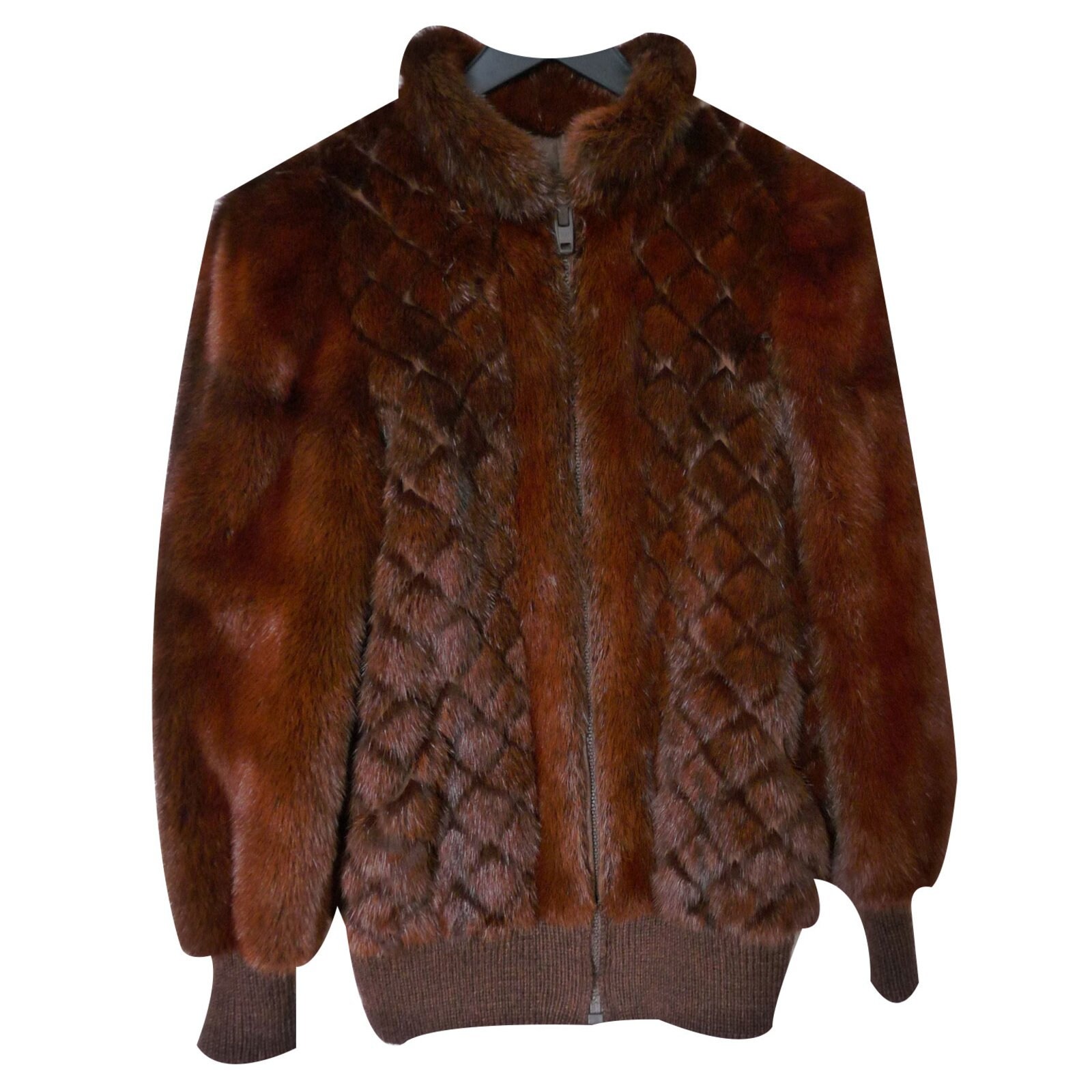 squirrel in leather jacket