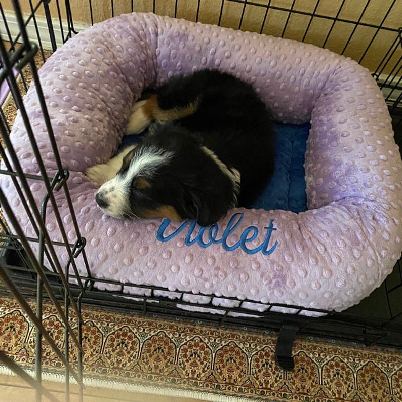 May include: A small black, brown, and white puppy curled up in a lavender dog bed inside a wire crate. The bed has a blue center and the name "Violet" embroidered in blue script.
