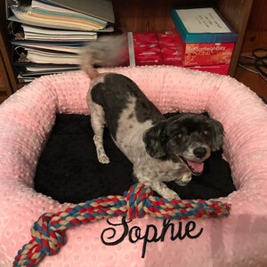 Medium Personalized Dog Bed, Minky Dot Dog Bed With Name , Puppy Bed, Custom Bed, Donut Bed, Calming Bed For Dog image 5