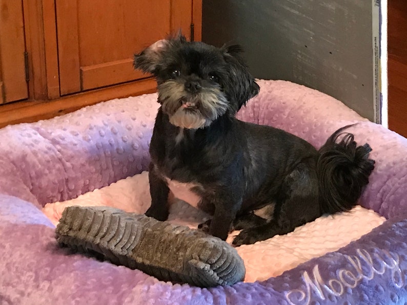 Medium Personalized Dog Bed, Minky Dot Dog Bed With Name , Puppy Bed, Custom Bed, Donut Bed, Calming Bed For Dog image 2