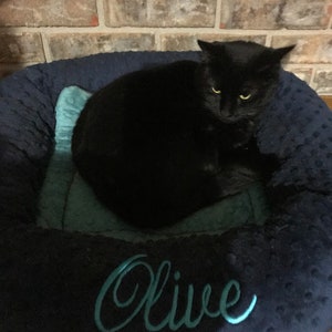 May include: A black cat rests in a navy blue pet bed with a teal interior. The bed has a textured surface and the name "Olive" embroidered in teal script. The background features a brick wall.