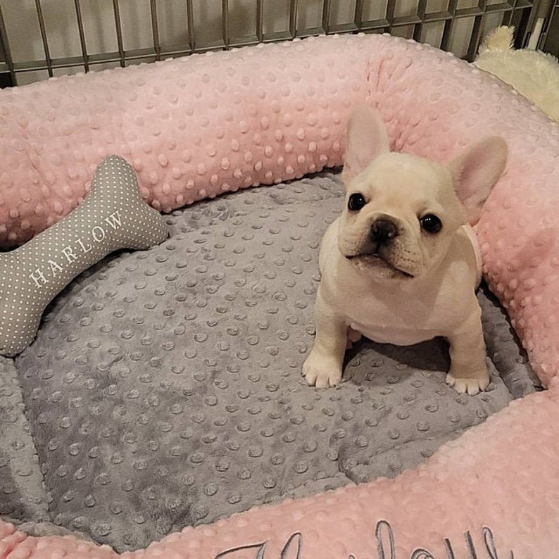 Medium Personalized Dog Bed, Minky Dot Dog Bed With Name , Puppy Bed, Custom Bed, Donut Bed, Calming Bed For Dog image 3
