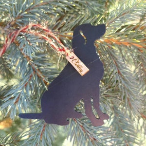 May include: Black metal silhouette of a dog ornament hanging on a green pine tree branch. The ornament has a wooden tag with the name "Oakley" engraved on it.