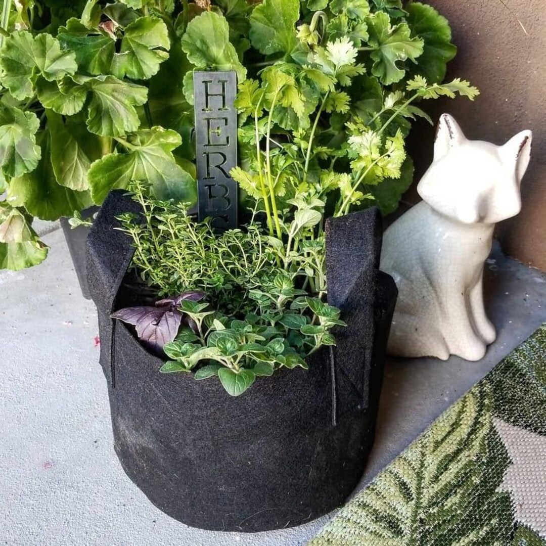 Herb Metal Garden Stake Outdoor Modern Garden Accessories Etsy