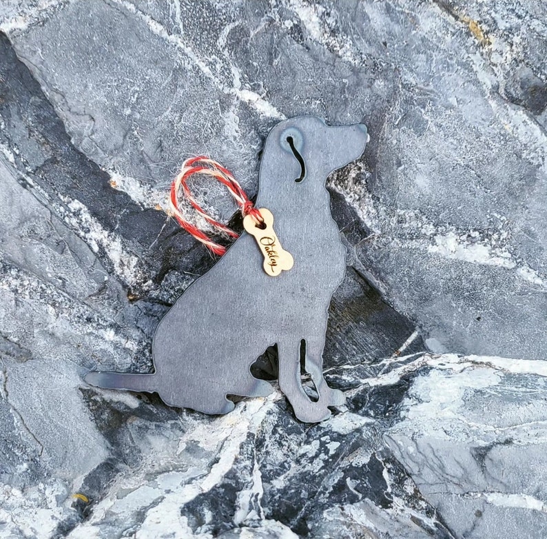 May include: A metal cutout of a dog sitting, with a bone-shaped tag that says "Outlaw". The cutout is attached to a red and white twine.
