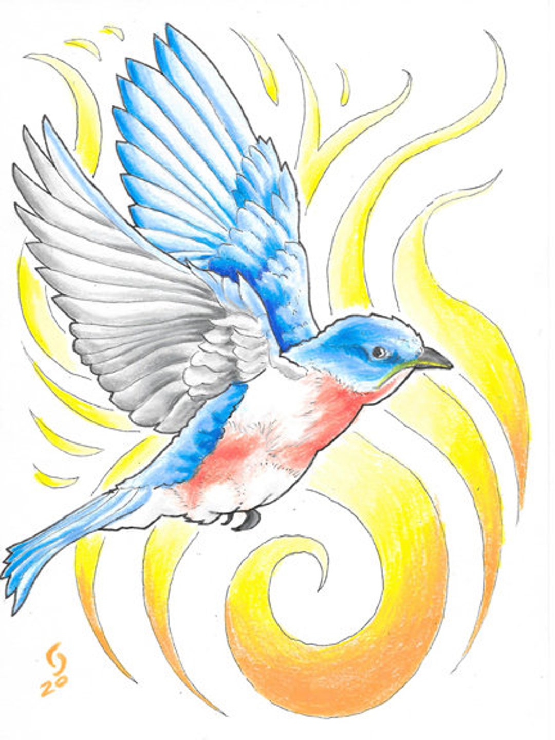 Birds outlet pencil drawing
