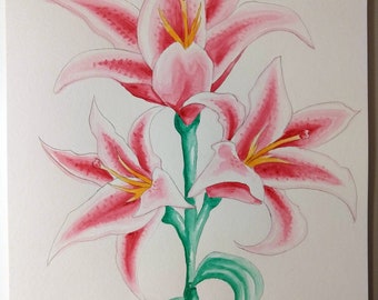 Lily Flowers Watercolor Painting