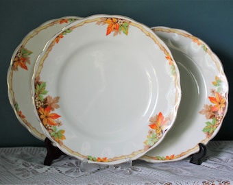 Dinner Plates, Grindley Cream Petal, 10 Inch, Set of 3, Alison Pattern