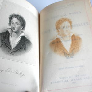 Antique Poetry Book Poetical Works of Percy Bysshe Shelley Frederick Warne 1891