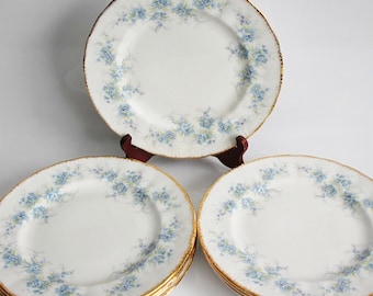 May include: A set of white porcelain plates with a delicate blue floral pattern around the rim. The plates have a gold trim and are arranged on a white surface. The plates are a classic design, suitable for a formal dining setting.