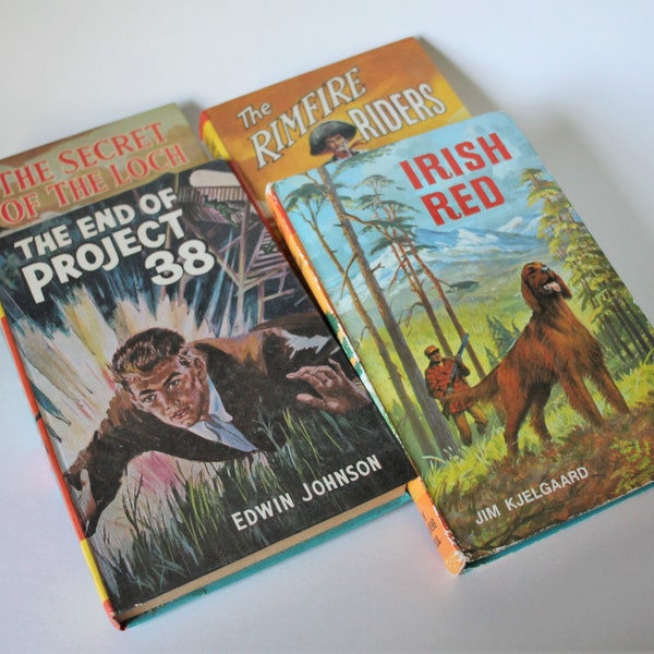 Children's Story Books Irish Red Project 38 Secret of the Loch Rimfire Riders