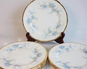 May include: A collection of white porcelain plates with a delicate blue floral pattern and gold rims. The plates are arranged on a wooden stand and stacked, showcasing the elegant design. A classic tableware set.