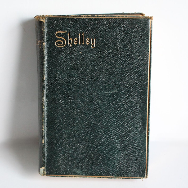 Antique Poetry Book Poetical Works of Percy Bysshe Shelley Frederick Warne 1891