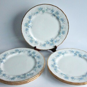 Paragon bone china - Etsy 日本
