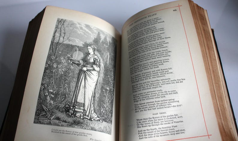 Antique Poetry Book Poetical Works of Percy Bysshe Shelley Frederick Warne 1891