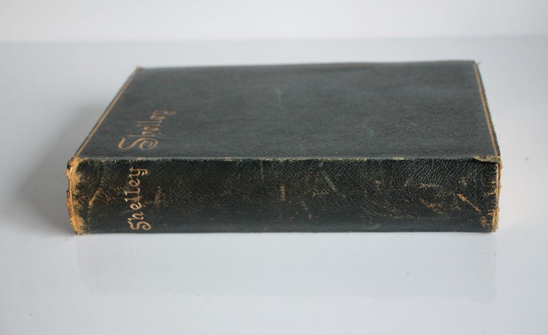 Antique Poetry Book Poetical Works of Percy Bysshe Shelley Frederick Warne 1891