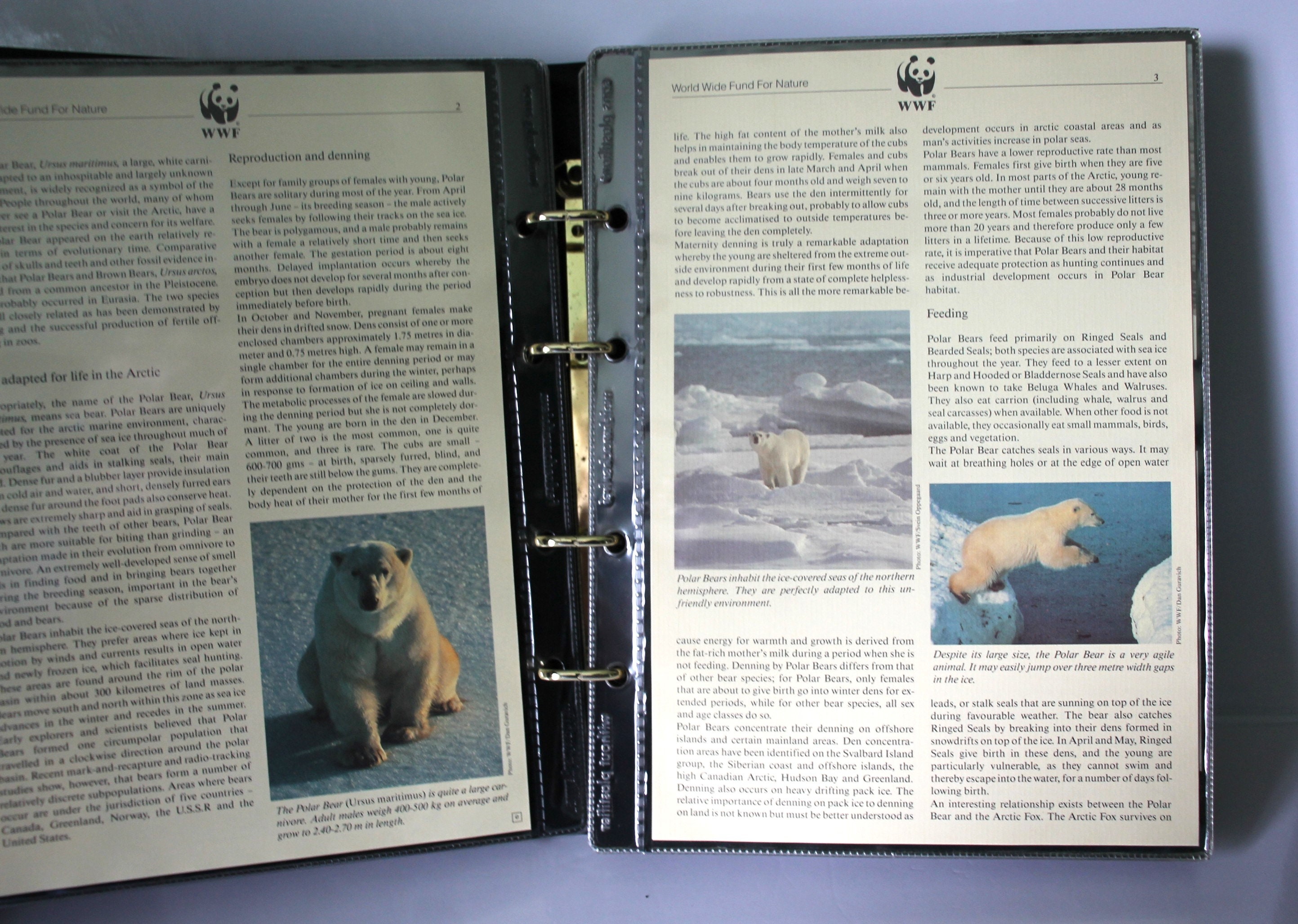 世界の動物切手コレクション WWF Animals of the World Stamp