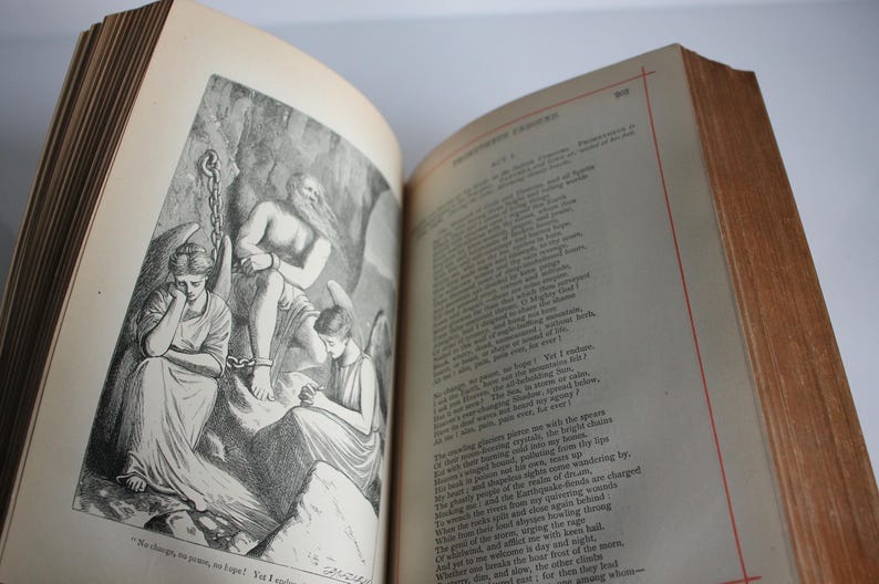 Antique Poetry Book Poetical Works of Percy Bysshe Shelley Frederick Warne 1891