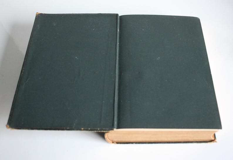 Antique Poetry Book Poetical Works of Percy Bysshe Shelley Frederick Warne 1891